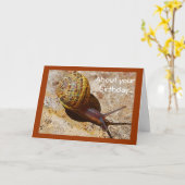 Carte Anniversaire tardif de snail mail (Fleur jaune)