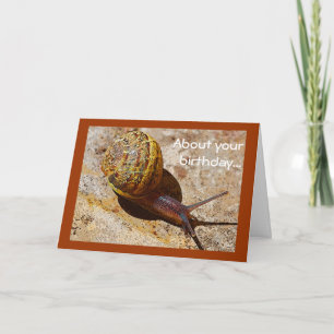 Carte Anniversaire tardif de snail mail