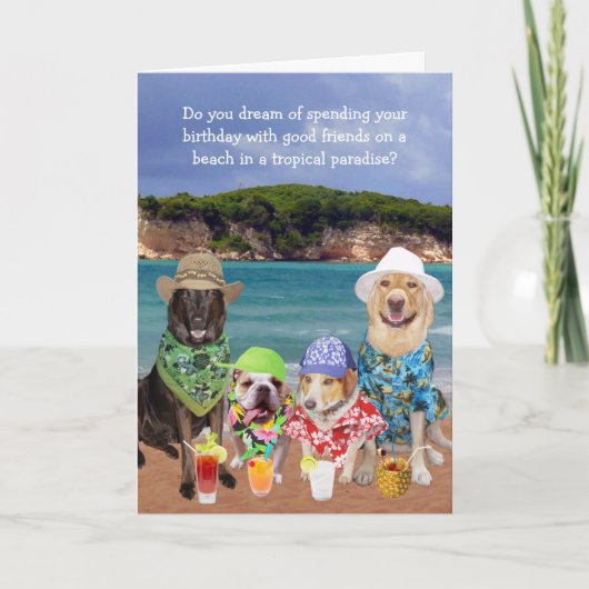 Carte Anniversaire tropical de paradis de chiens drôles (Devant)