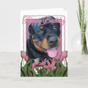 Carte Anniversaire - tulipes roses - rottweiler - Harley