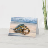 Carte Anniversaire Turtle Walking Sur une plage (Devant)
