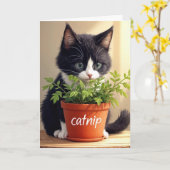 Carte Anniversaire Tuxedo Kitten Avec Plante Catnip (Fleur jaune)
