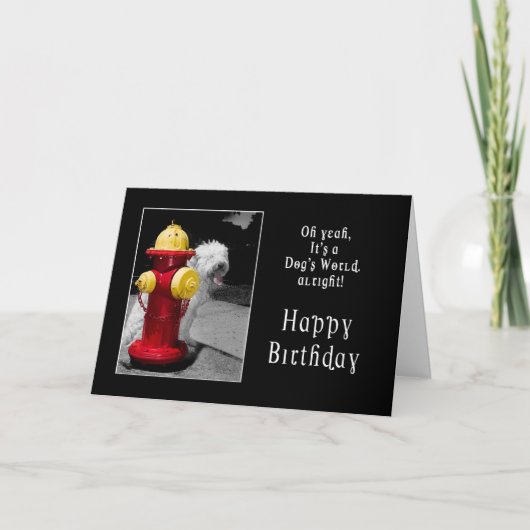 CARTE ANNIVERSAIRE - UN CHIEN CHALEUREUX - HYDRANT/CHIEN (Devant)