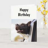 Carte Anniversaire Un jour Comme Aucun Autre Humour Cart (Fleur jaune)