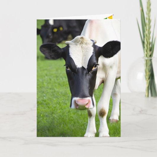 Carte Anniversaire Vache Holstein En Pâturage (Devant)