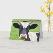 Carte Anniversaire Vache Holstein En Pâturage (Fleur jaune)