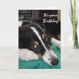 Carte Anniversaire Vieillesse Pas Heureux, Humour avec C