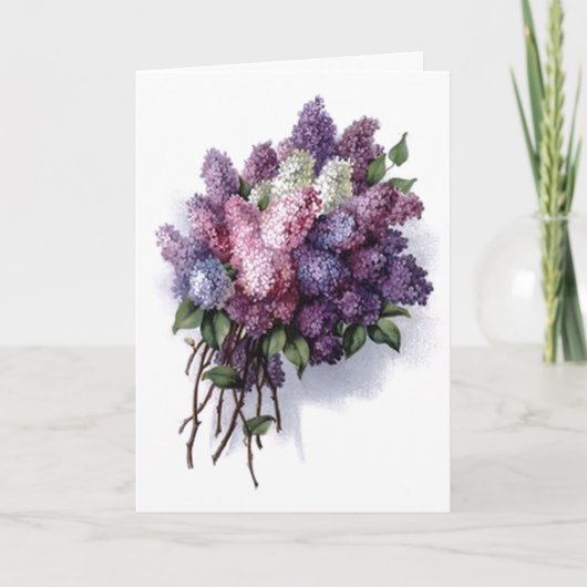 Carte Anniversaire vintage de lilas (Devant)