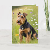 Carte Anniversaire Welsh Terrier (Devant)