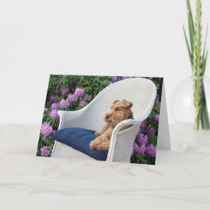 Carte Anniversaire Welsh Terrier sur le fauteuil