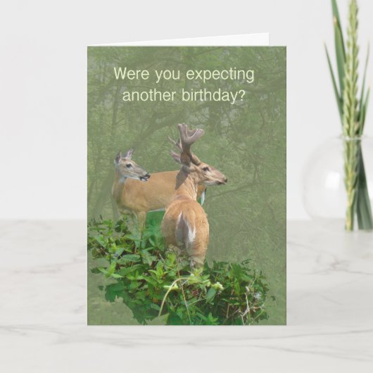 Carte Anniversaire Whitetail Deer Buck & Doe (Devant)