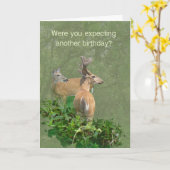 Carte Anniversaire Whitetail Deer Buck & Doe (Fleur jaune)