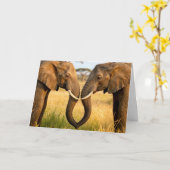 Carte Anniversary African Elephants In Savannah Grass (Fleur jaune)