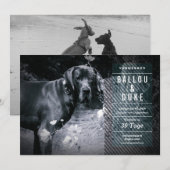 Carte Annonce de chiots (Devant / Derrière)