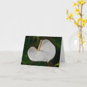 Carte Anthurium Blanc (Fleur jaune)