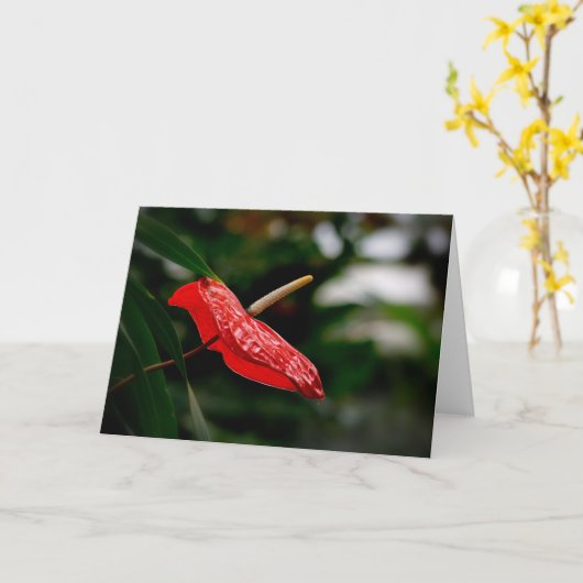 Carte Anthurium Rouge Tropical Toute Occasion Vierge Sal (Fleur jaune)