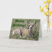 Carte Antilope d'Amérique A7 bébé (Fleur jaune)