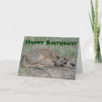 Antilope de Pronghorn du bébé A6