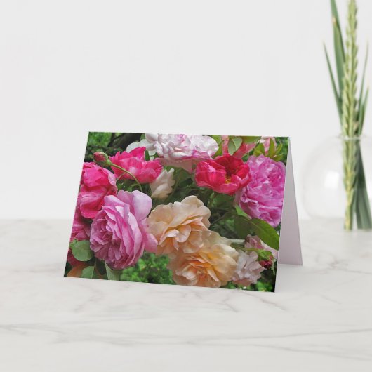 Carte Antique Rose (Devant)