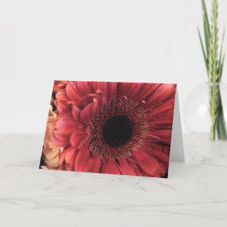 Carte Antique Rouge - Anniversaire