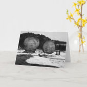 Carte Anton Clay Pots (Fleur jaune)