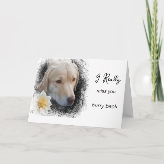 Carte *~ AP61 Flower Miss You - Triste Chien (Devant)
