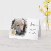 Carte *~ AP61 Flower Sick Get Well Sad Chien (Fleur jaune)