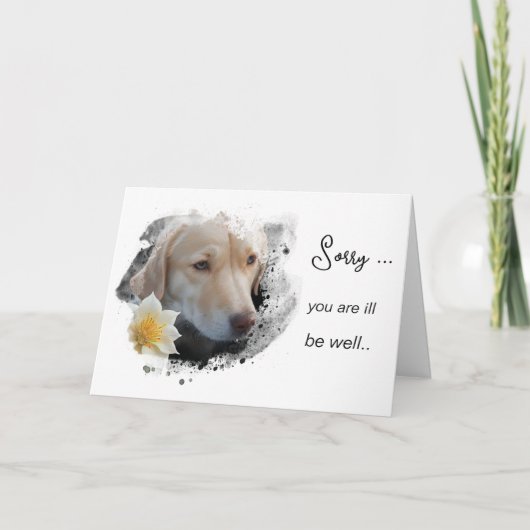 Carte *~ AP61 Obtenez bien triste fleur de chien triste (Devant)