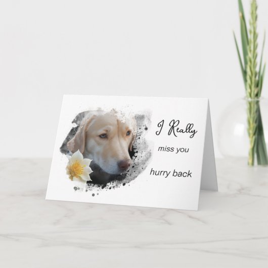 Carte *~ AP61 Triste Lab Retriever Fleur Te Manque Vite (Devant)