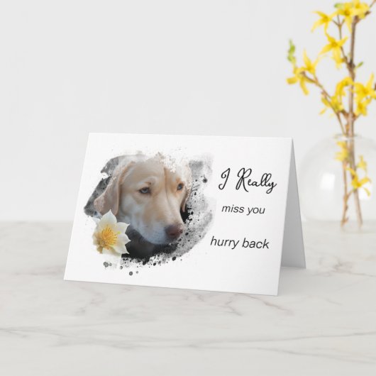 Carte *~ AP61 Triste Lab Retriever Fleur Vous Manque Vit (Fleur jaune)