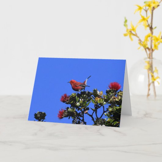 Carte 'Apapane Small Red Bird (Fleur jaune)