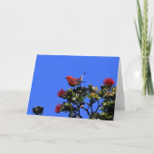 Carte 'Apapane Small Red Bird (Devant)