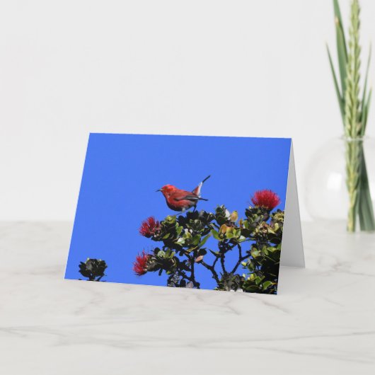 Carte 'Apapane Small Red Bird (Devant)
