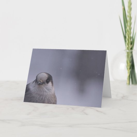 Carte aperçu (Devant)