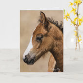 Carte Apollo- Oregon Mustang (Fleur jaune)