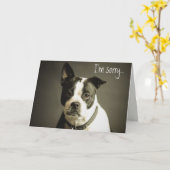 Carte Apologie de chien triste modifiable (Fleur jaune)