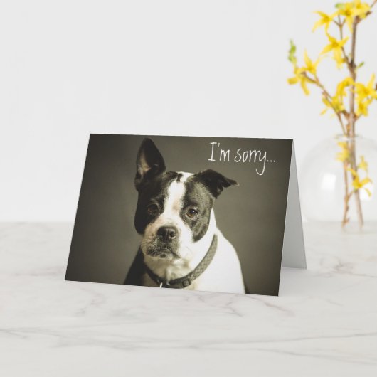 Carte Apologie de chien triste modifiable (Fleur jaune)