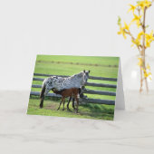 Carte Appaloosa Mare et Cheval de Colt (Fleur jaune)
