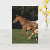 Carte Appaloosa Mare Et Foie (Fleur jaune)