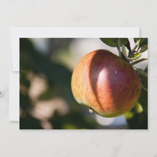 Carte Apple (Devant)
