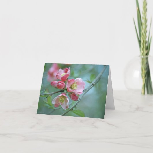 Carte Apple Blossom #P0356 (Devant)