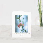 Carte Apple Blossom #P0365 (Dos)