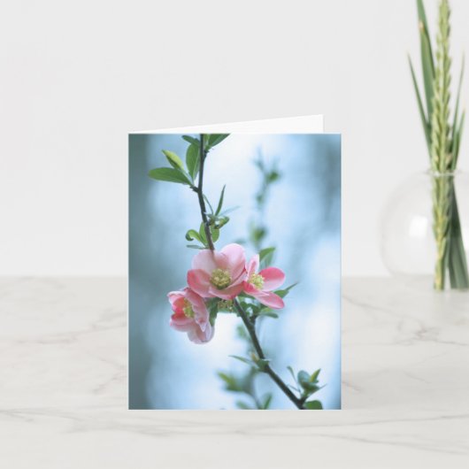 Carte Apple Blossom #P0365 (Devant)