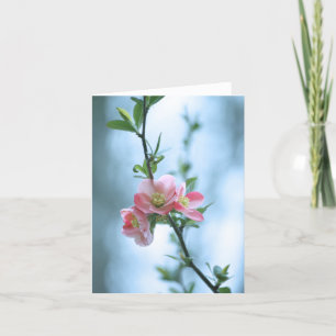 Carte Apple Blossom #P0365