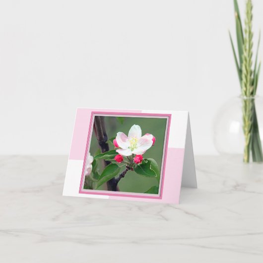 Carte Apple Blossom Spring Note (Devant)