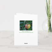 Carte "Apple Of My Eye"/ "C'EST TOI !" (Dos)