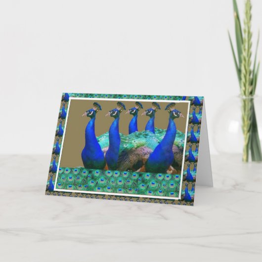 Carte Appréciez :  Le paon n fait varier le pas des (Devant)