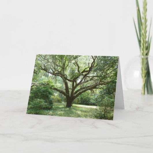 Carte Après-midi d'été de Bluffton (Devant)