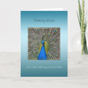 Carte Aqua Paon Beaux Moments