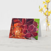 Carte aquarelle Aeonium (Fleur jaune)